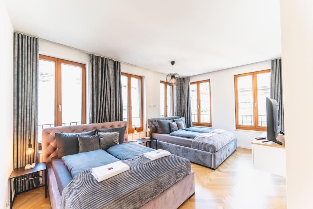 Tip! 120 Qm Apartment Direkt Am Neumarkt Dresde Extérieur photo